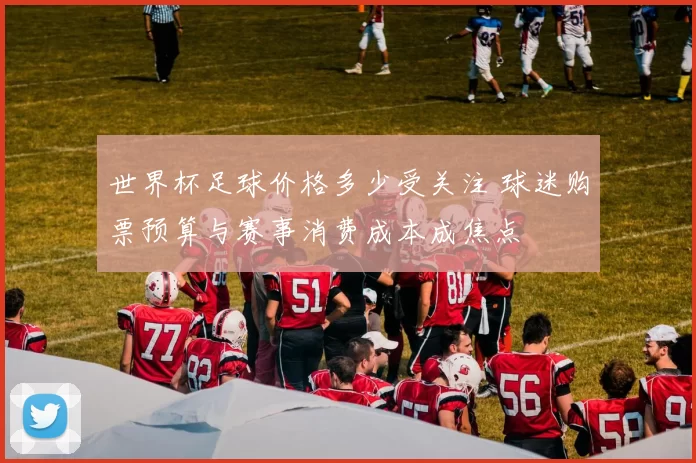 世界杯足球价格多少受关注 球迷购票预算与赛事消费成本成焦点