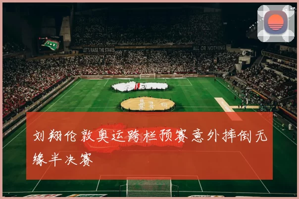 刘翔伦敦奥运跨栏预赛意外摔倒无缘半决赛